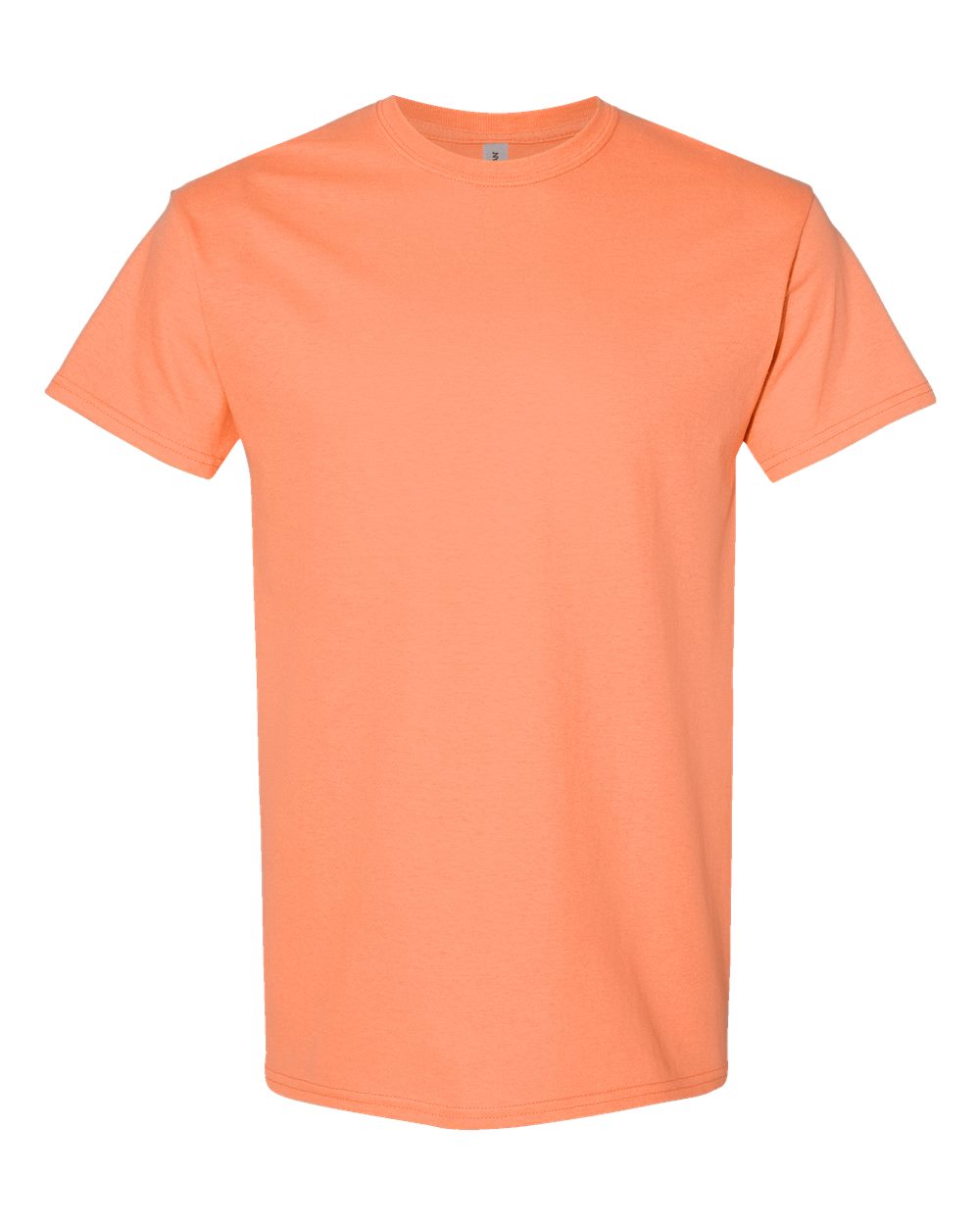Gildan 5000 Heavy Cotton T-Shirt (S-5XL)